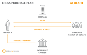 Cross Purchase Plan Buy Sell Agreement Life Insurance