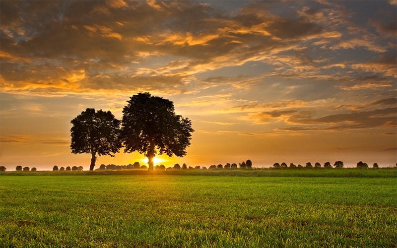 Understanding the Restricted Property Trust: A Strategic Solution for High-Income Business Owners