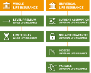 Permanent Life Insurance Policy Types