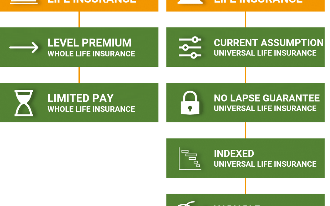 Permanent Life Insurance Policy Types | Mericle & Co.