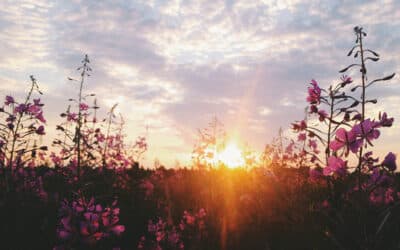 Irrevocable Life Insurance Trust (ILIT) for Estate Planning