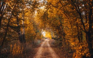 Life Insurance Design Advanced