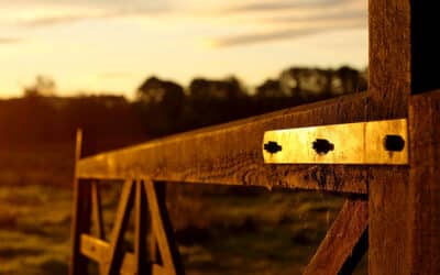 How Life Insurance Supports Multi-Generational Business Succession