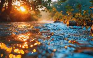 Lifetime Estate Tax Exemption