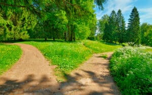 Scenic split path representing the decision between premium financing vs paying cash for life insurance